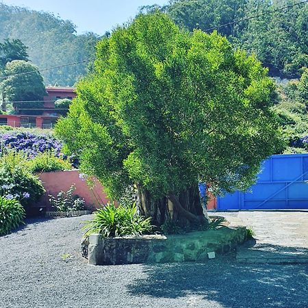 Casa El Porte Tegueste Dış mekan fotoğraf