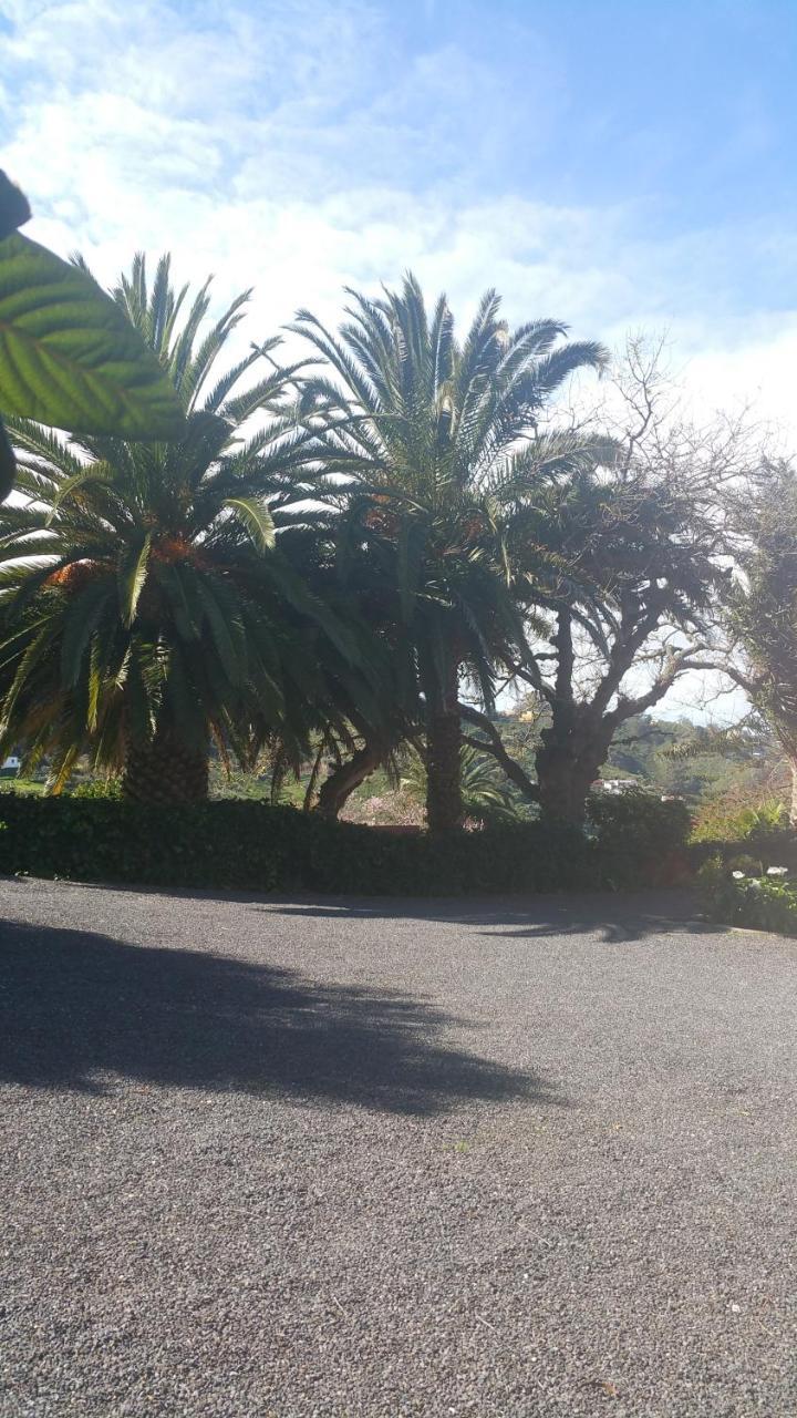Casa El Porte Tegueste Dış mekan fotoğraf
