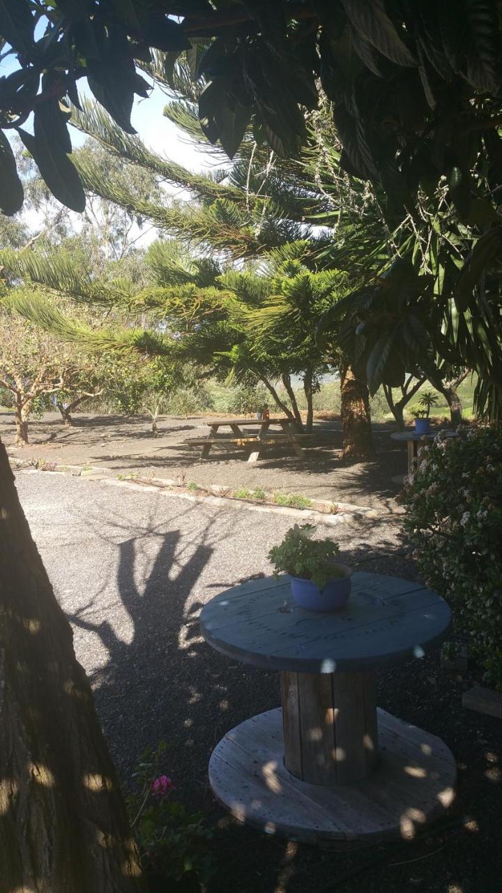 Casa El Porte Tegueste Dış mekan fotoğraf